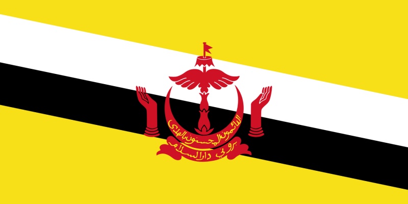 Lá cờ của Lực lượng Vũ trang Brunei gồm ba sọc chéo. Cái đầu tiên ở phần trên có màu trắng, cái thứ hai màu đỏ và cái cuối cùng màu đen