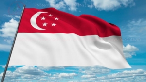 LÁ CỜ SINGAPORE GIÁ RẺ TẠI HCM